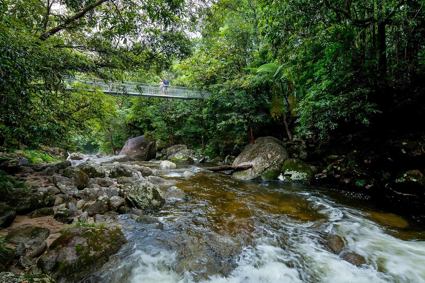 Offer photo: From Cairns: Mossman Gorge with a smoking ceremony, the Daintree River and rainforest