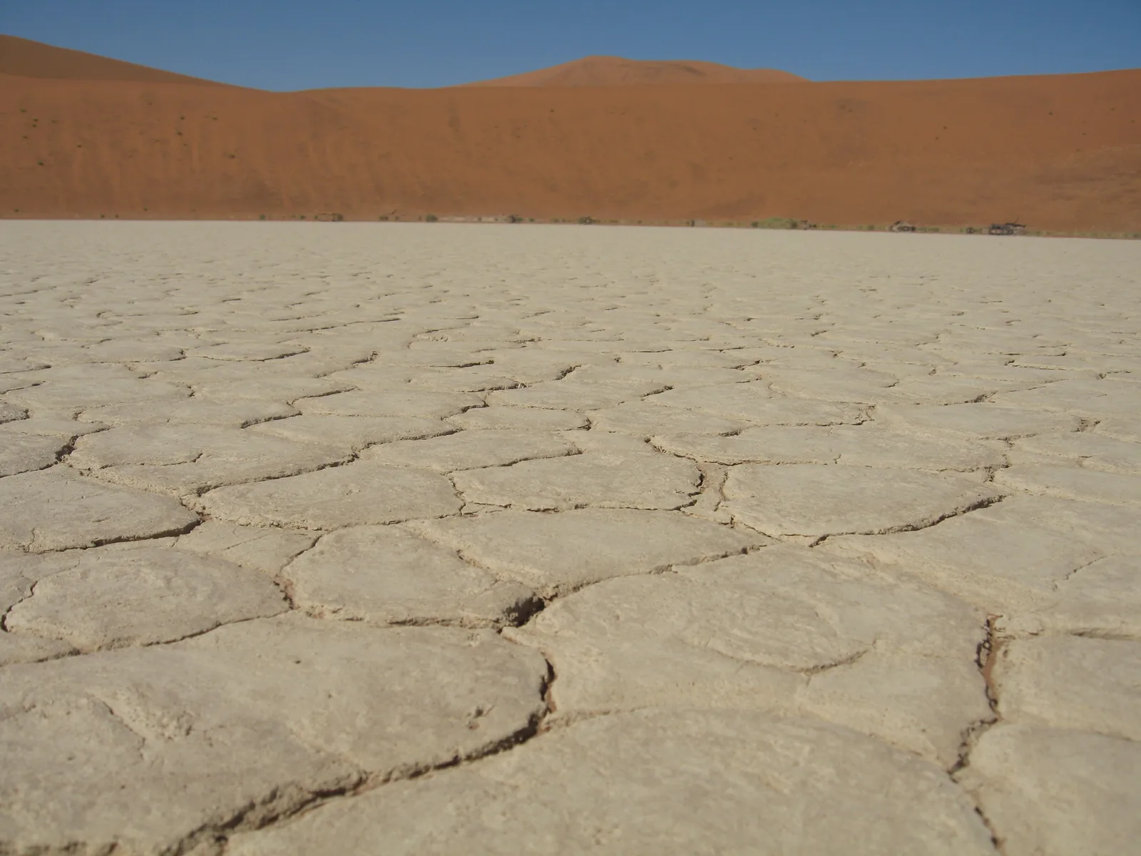 Cracked white clay in Deadvlei in Namib-Naukluft National Park, dunes in the background