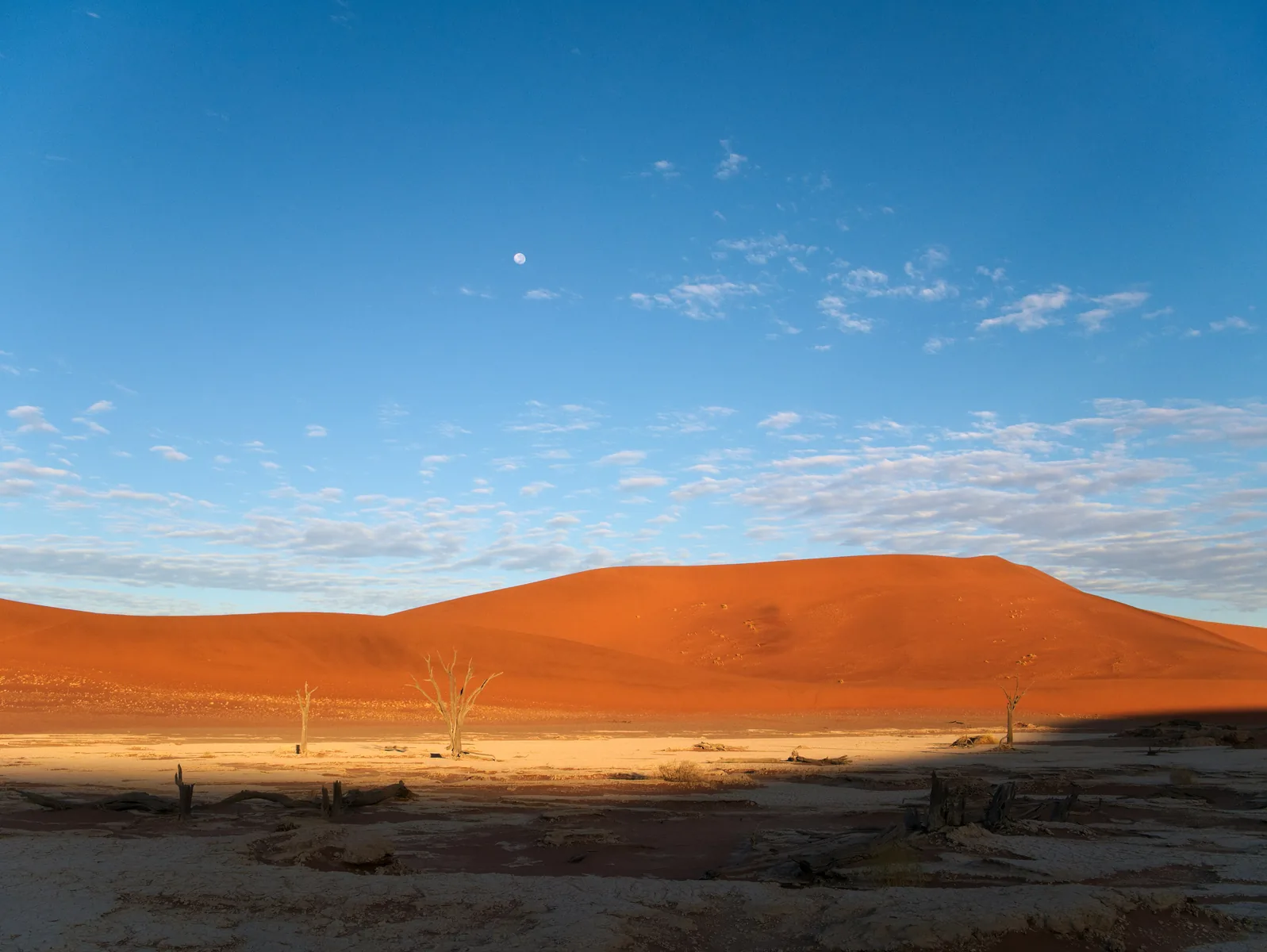 Morning light in Deadvlei in Namib-Naukluft National Park, the moon above the dune