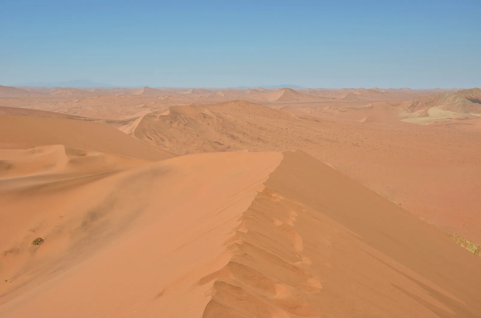 View from the crest of the Big Daddy dune down to the white pan of Deadvlei in Namib-Naukluft National Park