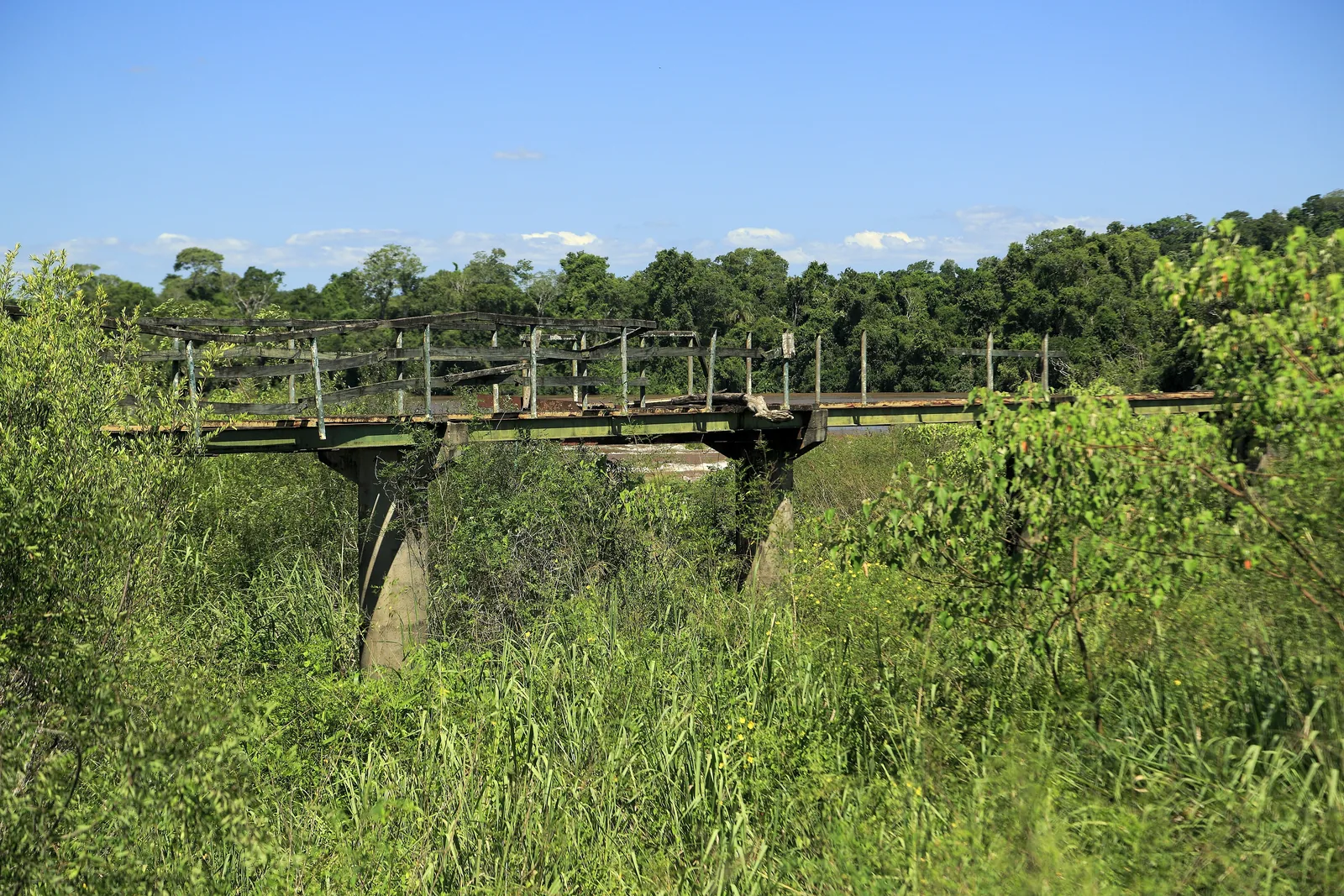 Rusty piers and steel girders of an abandoned section of the Devil's Throat walkway stand in tall grass