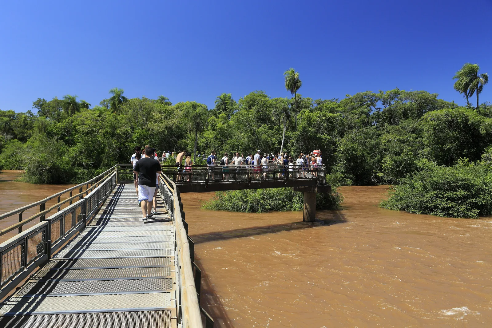 The walkway to the Devil's Throat crosses brown floodwater of the Iguazú to a wooded island, with visitors walking on the bridge