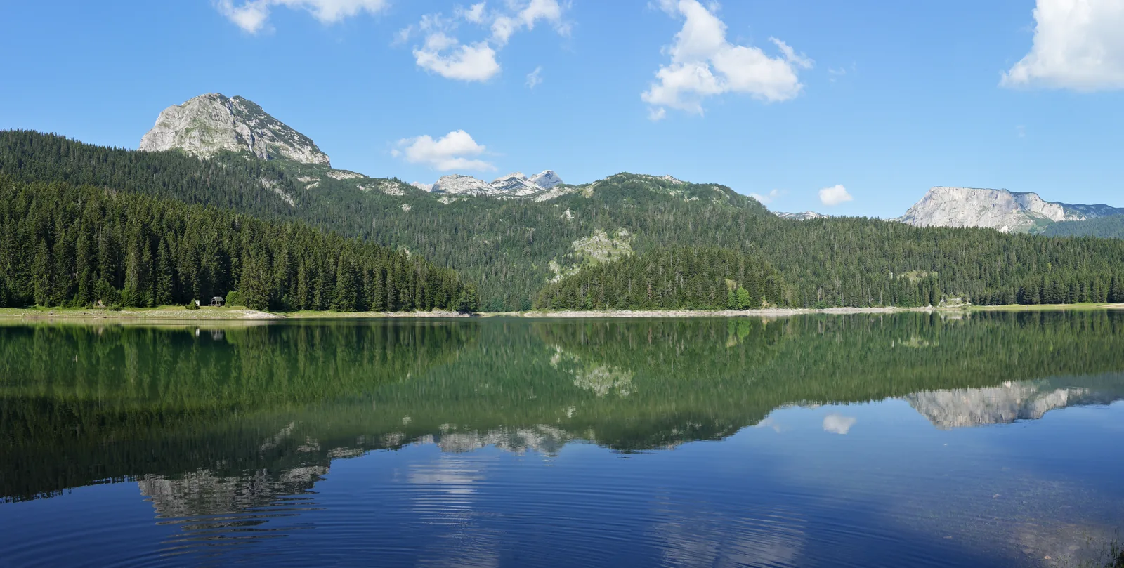 In Durmitor National Park, the Black Lake smoothly mirrors a wooded shore and a pale rocky peak under a blue sky with clouds