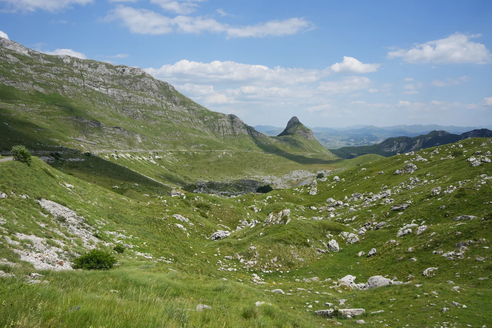 A wide green high valley in Durmitor National Park with scattered limestone blocks, a mountain flank on the left, a pointed peak in the background