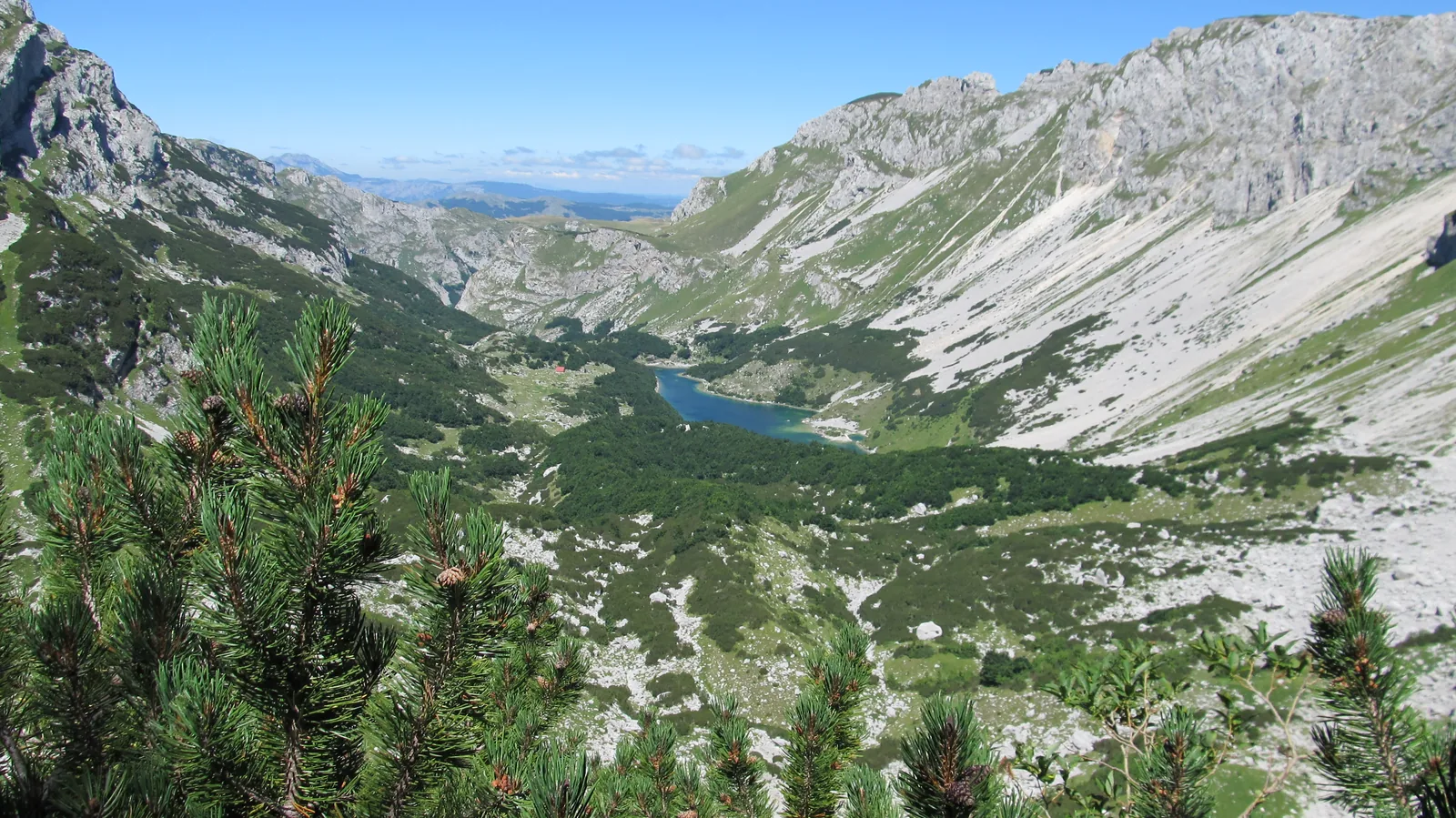 A deeply cut high valley in Durmitor National Park with a small blue lake at the bottom, pale rock walls left and right, dwarf pines in front
