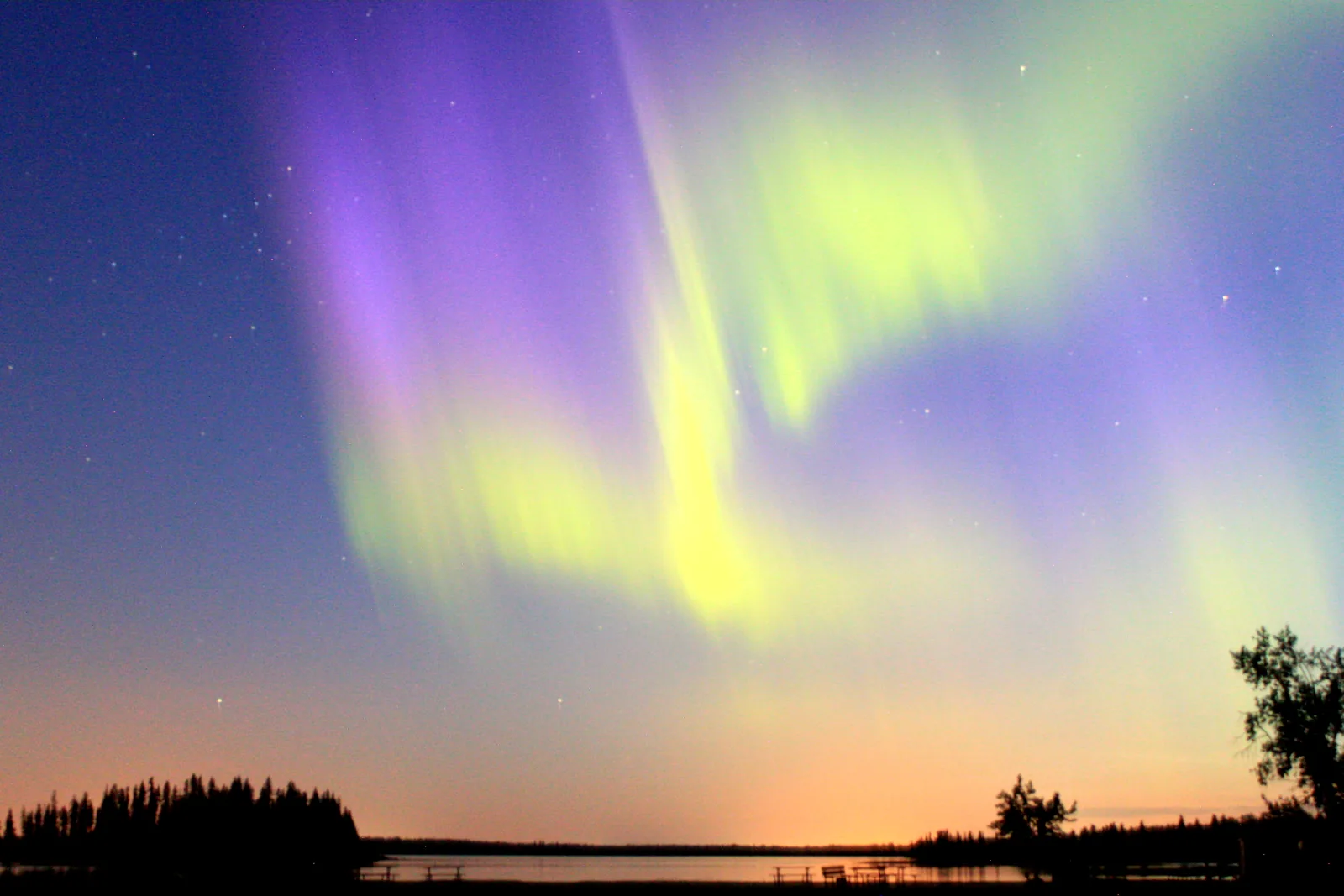 Green and violet bands of northern lights above a dark silhouette of trees on the lakeshore in Elk Island National Park, the night sky of the Beaver Hills Dark Sky Preserve explained in the stargazing programme at Astotin Lake