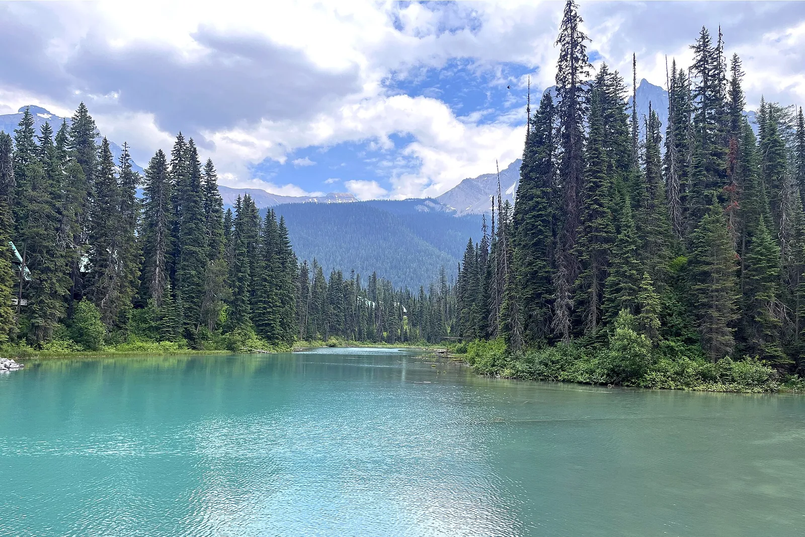 Tall spruce trees on the shore of Emerald Lake in Yoho National Park, milky turquoise water, forested slopes behind.