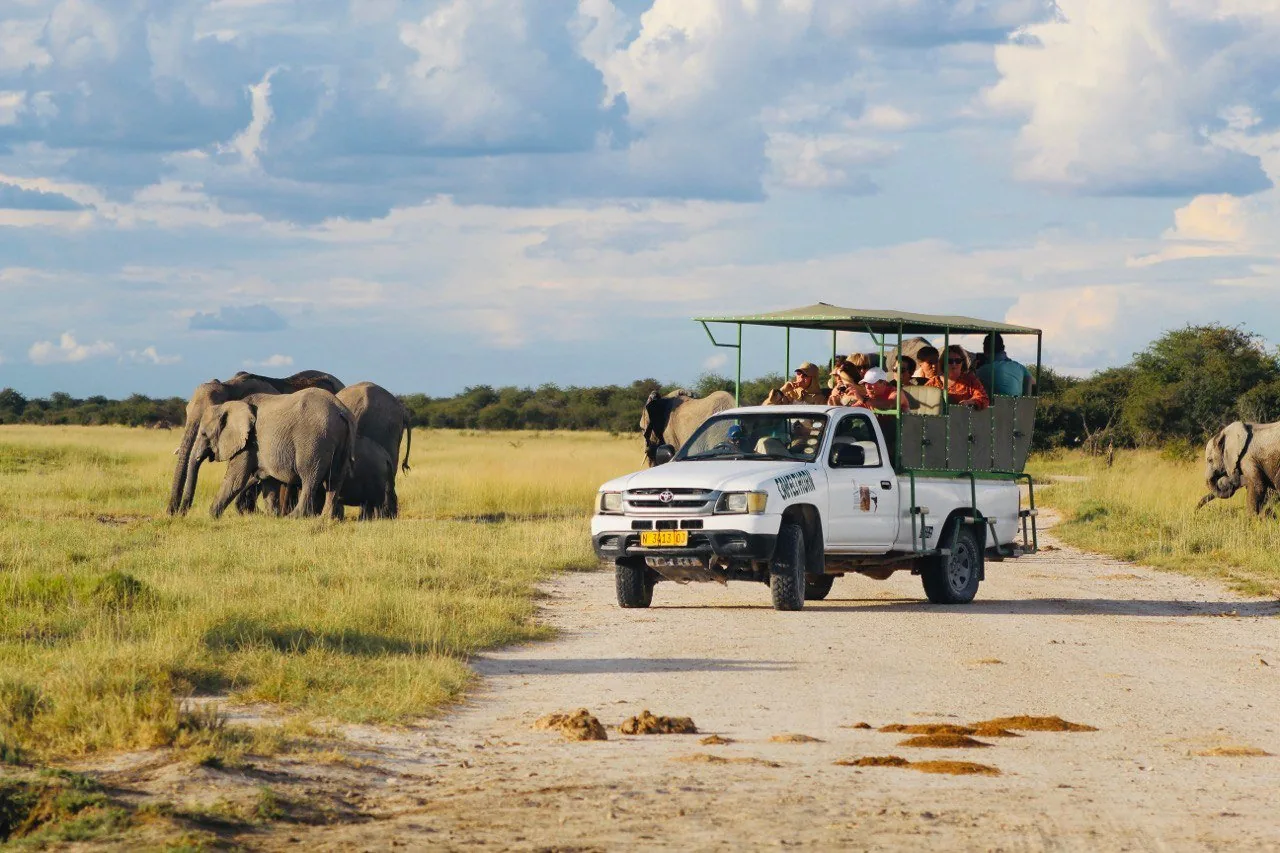 Offer photo: Half- or full-day game drive from Okaukuejo in a safari vehicle