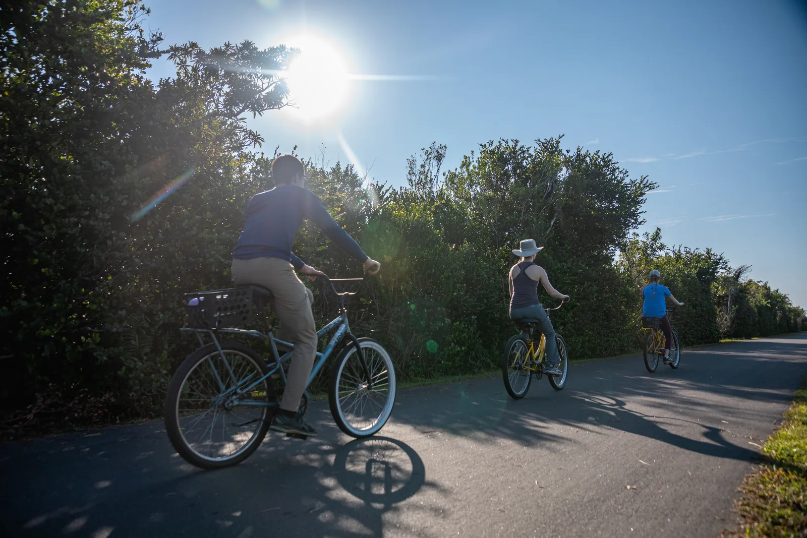 Three cyclists on the paved Shark Valley loop in Everglades National Park against the light, dense scrub along the edge
