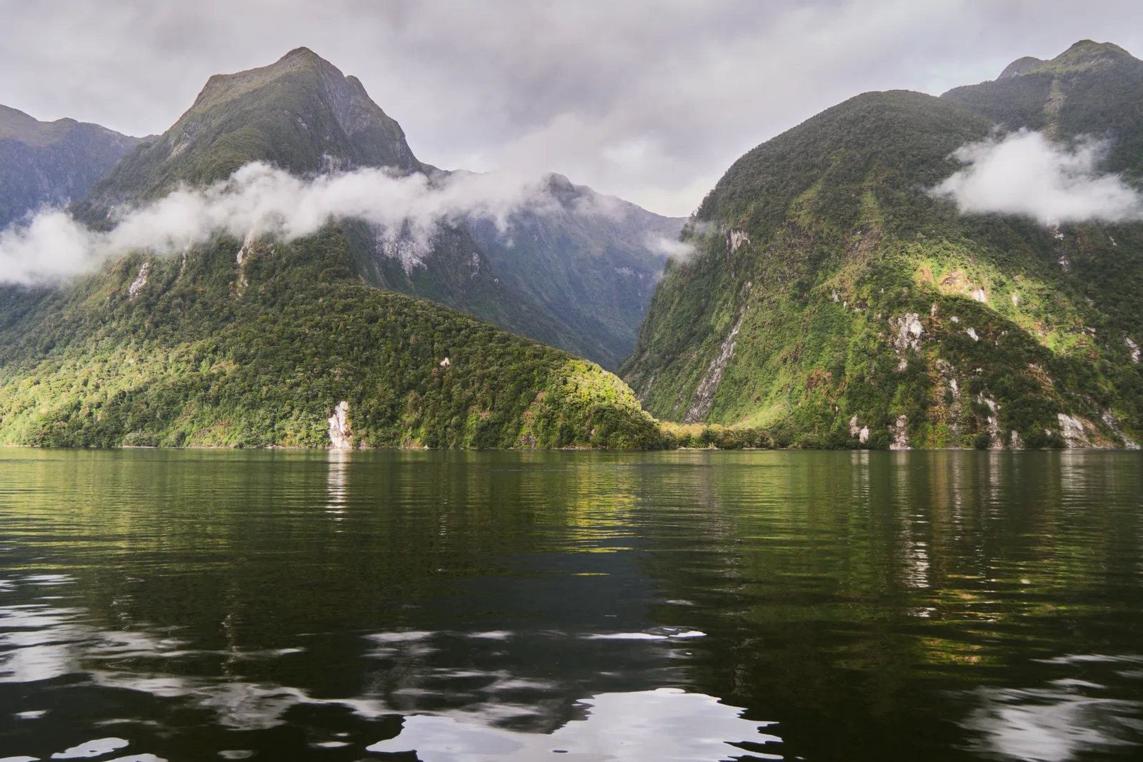 Doubtful Sound in Fiordland National Park: still, dark water below steep forested slopes with low bands of cloud