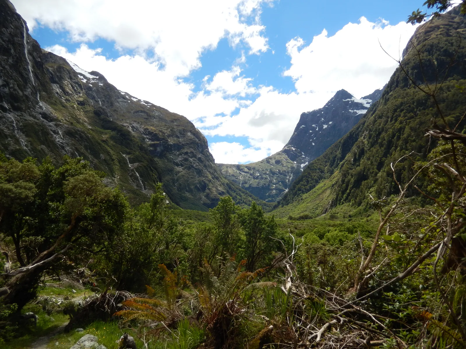 View from the Milford Track in Fiordland National Park up a green valley towards Omanui/McKinnon Pass between steep mountain sides