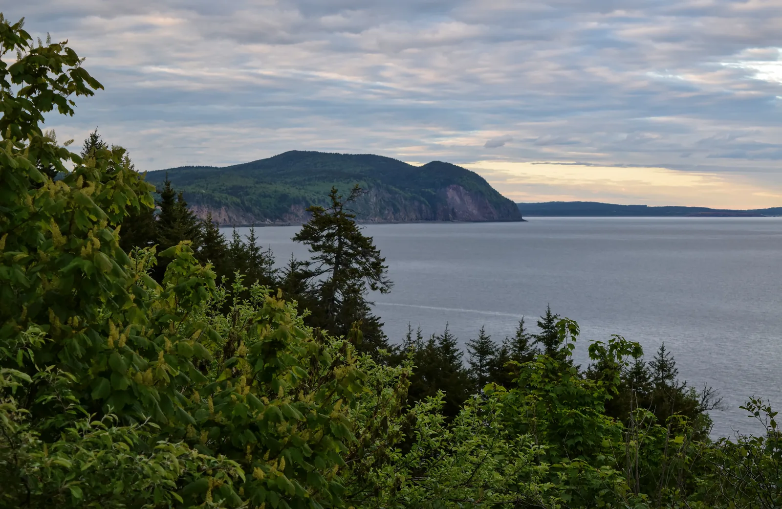 View over the Bay of Fundy at Herring Cove in Fundy National Park: forested slopes drop to the calm cove, the opposite shore on the horizon
