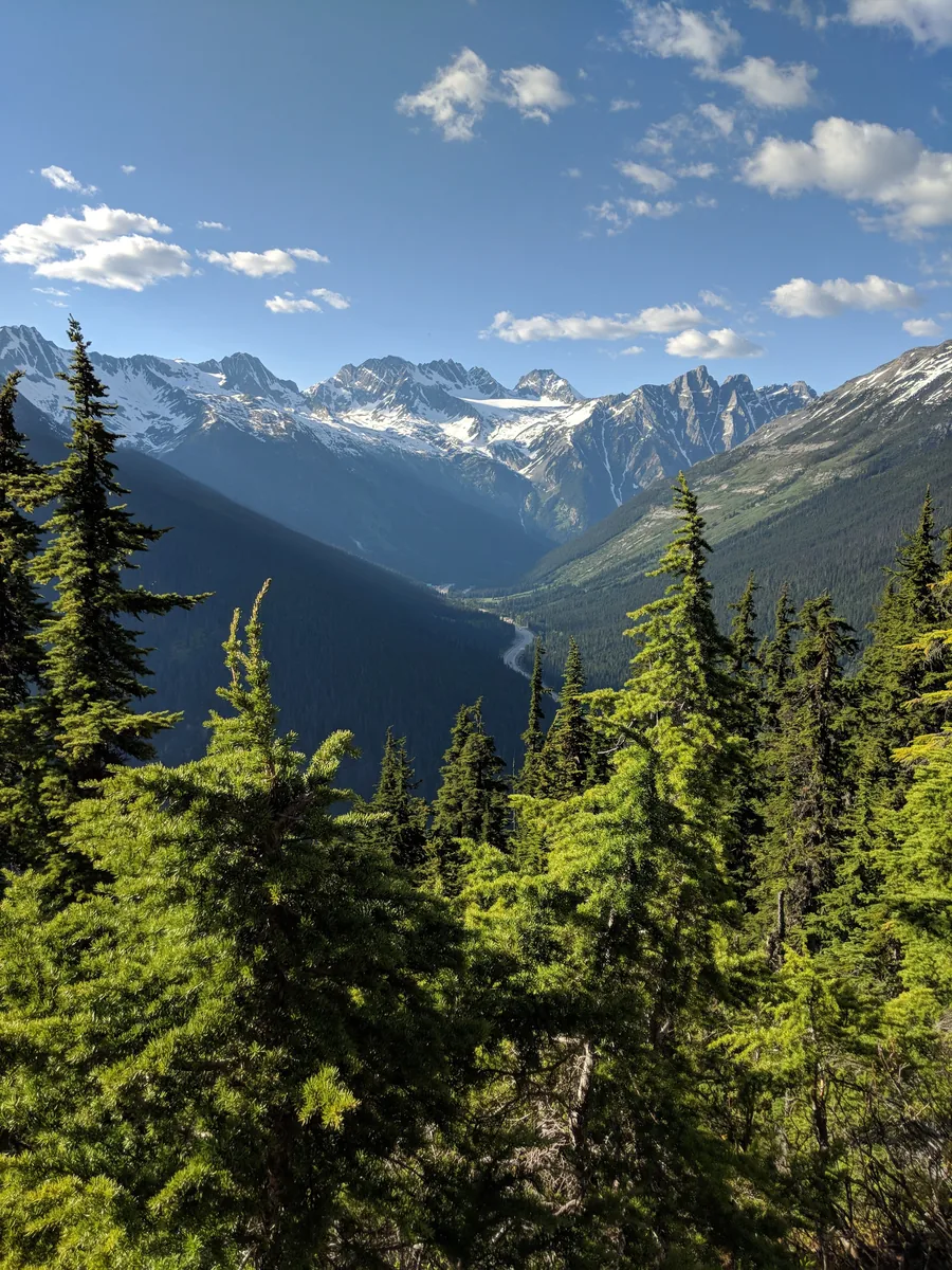 View from a high forest trail in Glacier National Park in Canada across the Illecillewaet valley, with the highway on the valley floor, to glaciated peaks