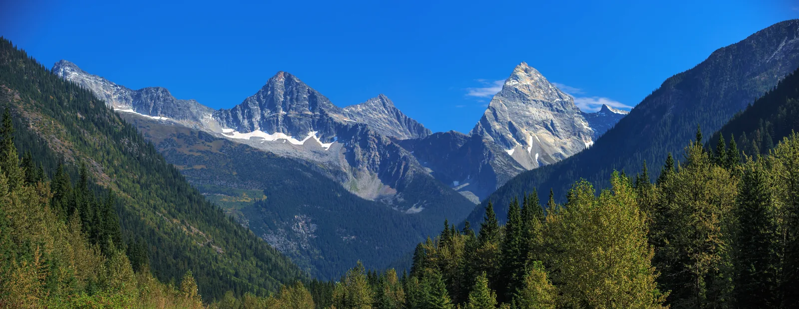 Panorama of the Selkirk Mountains in Glacier National Park in Canada with the pointed rock pyramid of Mount Sir Donald above dark conifer forest