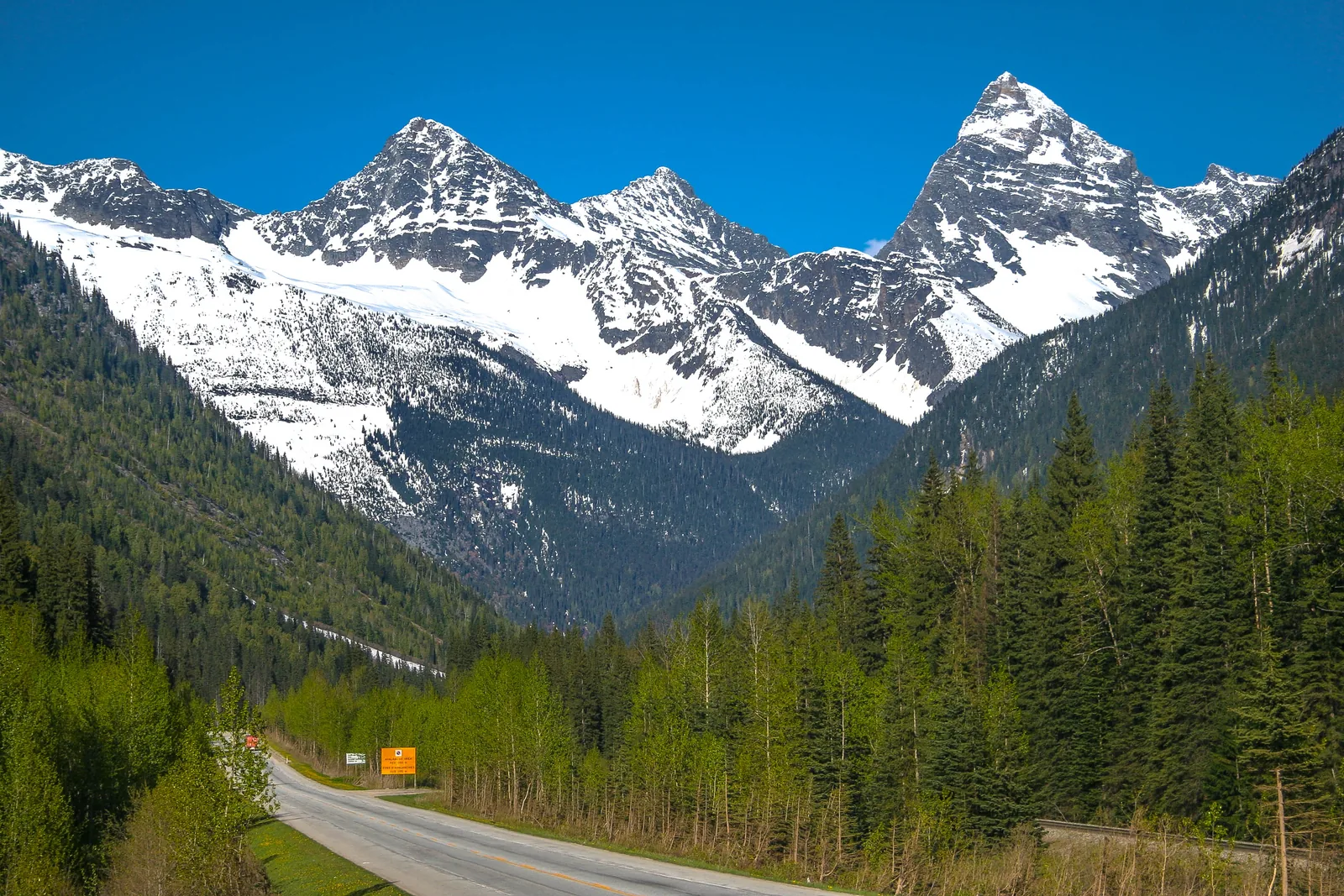 The Trans-Canada Highway in Glacier National Park in Canada runs through a forested valley towards the snow-covered rock peaks of Eagle Peak and Mount Sir Donald