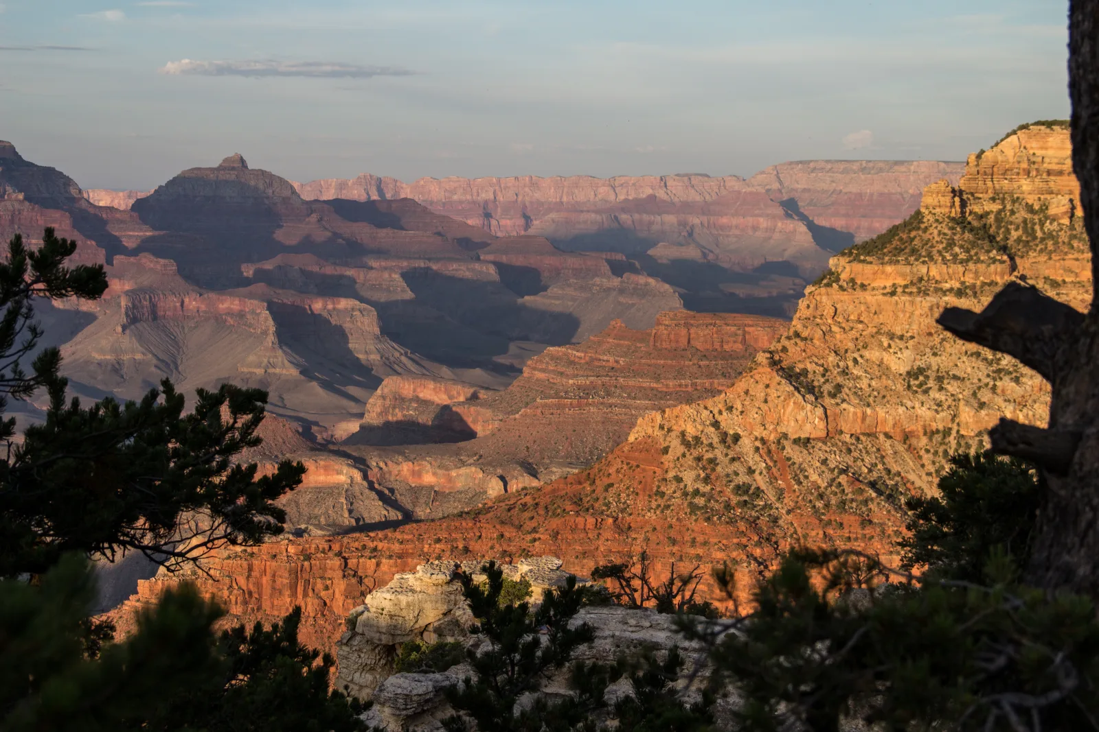 Evening light on the stepped rock terraces of Grand Canyon National Park, seen from the South Rim near Tusayan