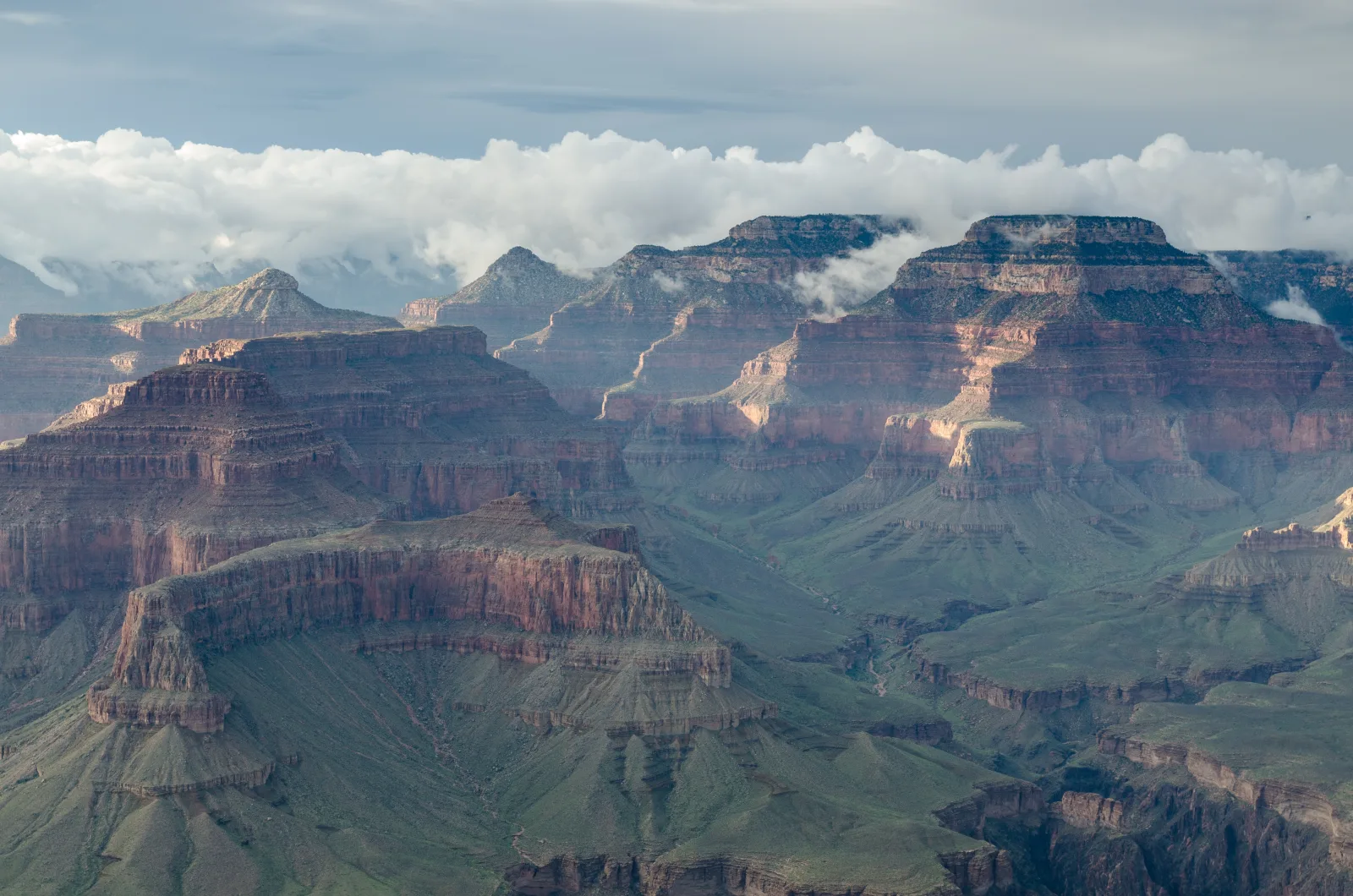 Warm evening light on the rock steps of Grand Canyon National Park, taken from Hopi Point on the South Rim