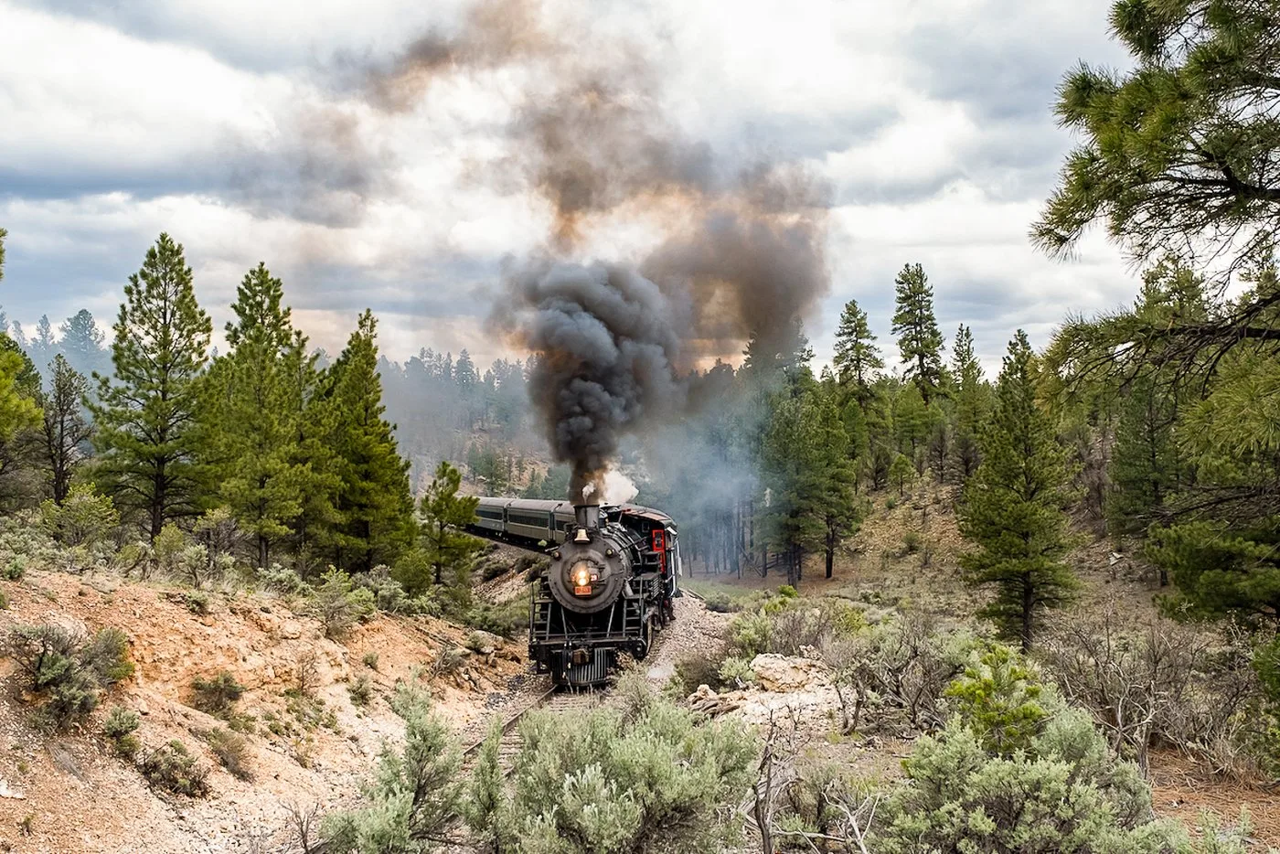 Offer photo: From Williams: Grand Canyon Railway Return Train Ticket