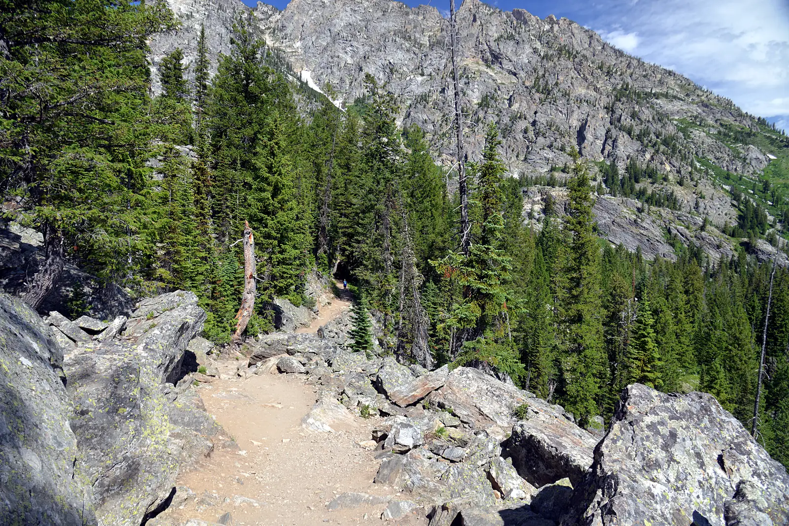 Rocky path on the shore of Jenny Lake in Grand Teton National Park between conifers, with the rock walls of the Teton Range behind