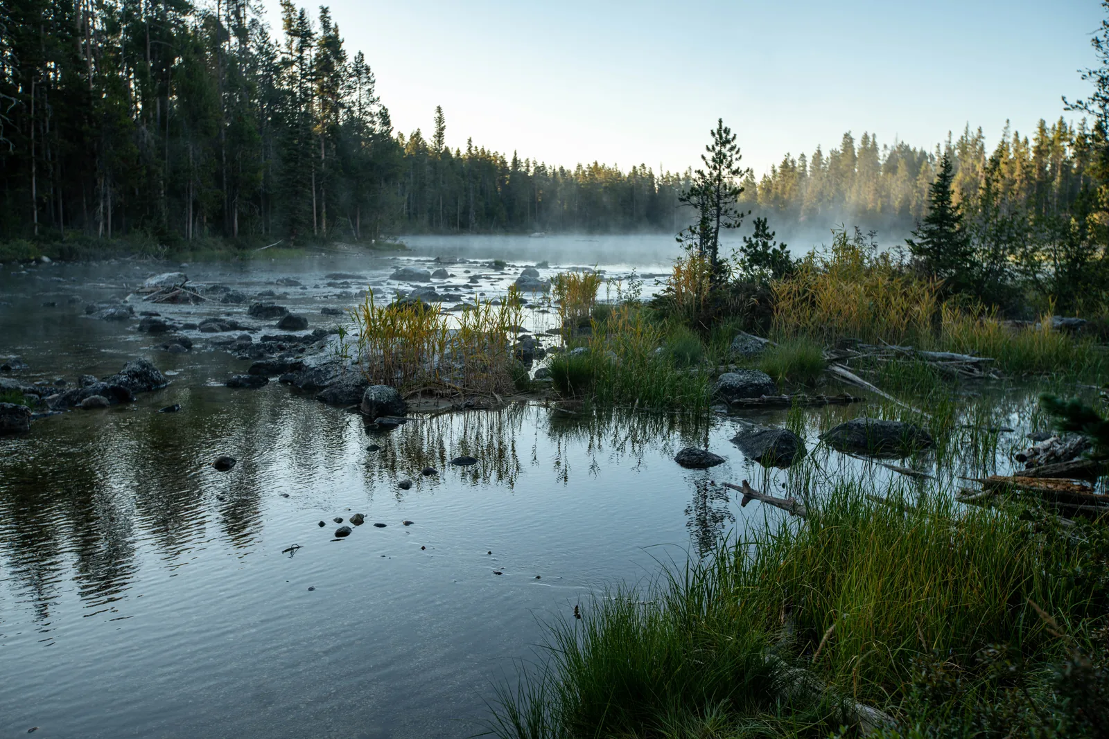 The shallow String Lake in Grand Teton National Park with wisps of mist over the water, stones in the shallows and dense conifer forest on the shore