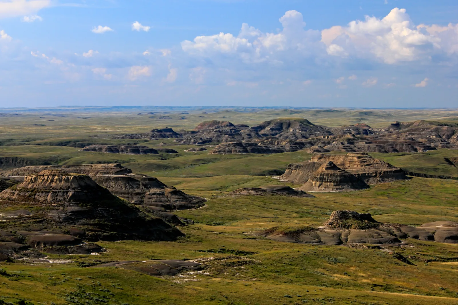 Layered badlands buttes in Grasslands National Park lie like islands in a green prairie, cumulus clouds above