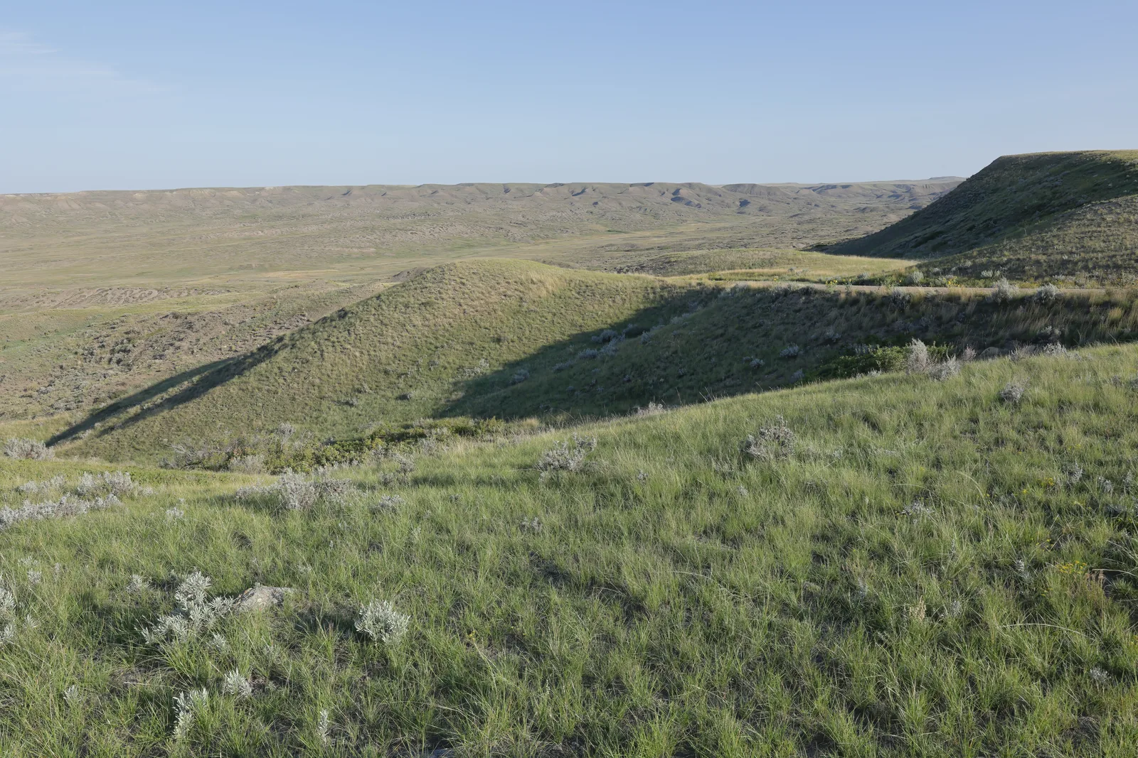 Wide green grassy hills in Grasslands National Park drop into a shallow valley, a long escarpment on the horizon under a clear sky