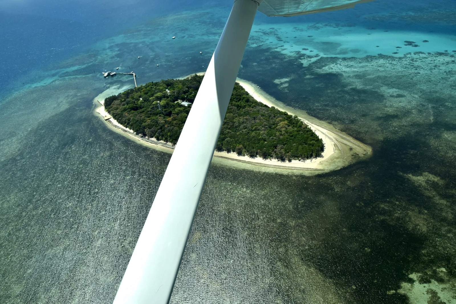 View from a light aircraft of a forested coral cay with a ring of sand in the Great Barrier Reef Marine Park