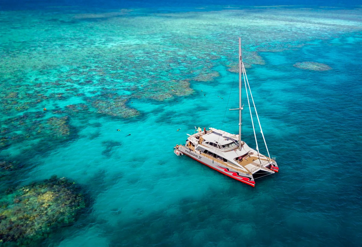 Offer photo: From Cairns: Great Barrier Reef Cruise by Premium Catamaran