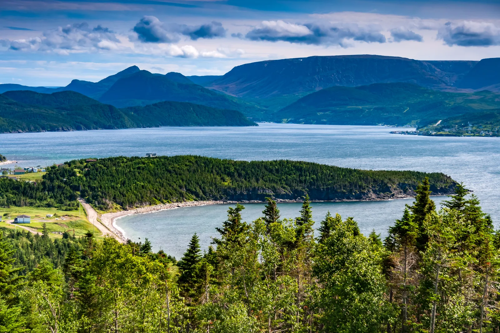 View over wooded hills to blue Bonne Bay with a long wooded spit and a pale sandy cove, the mountains of the Tablelands behind
