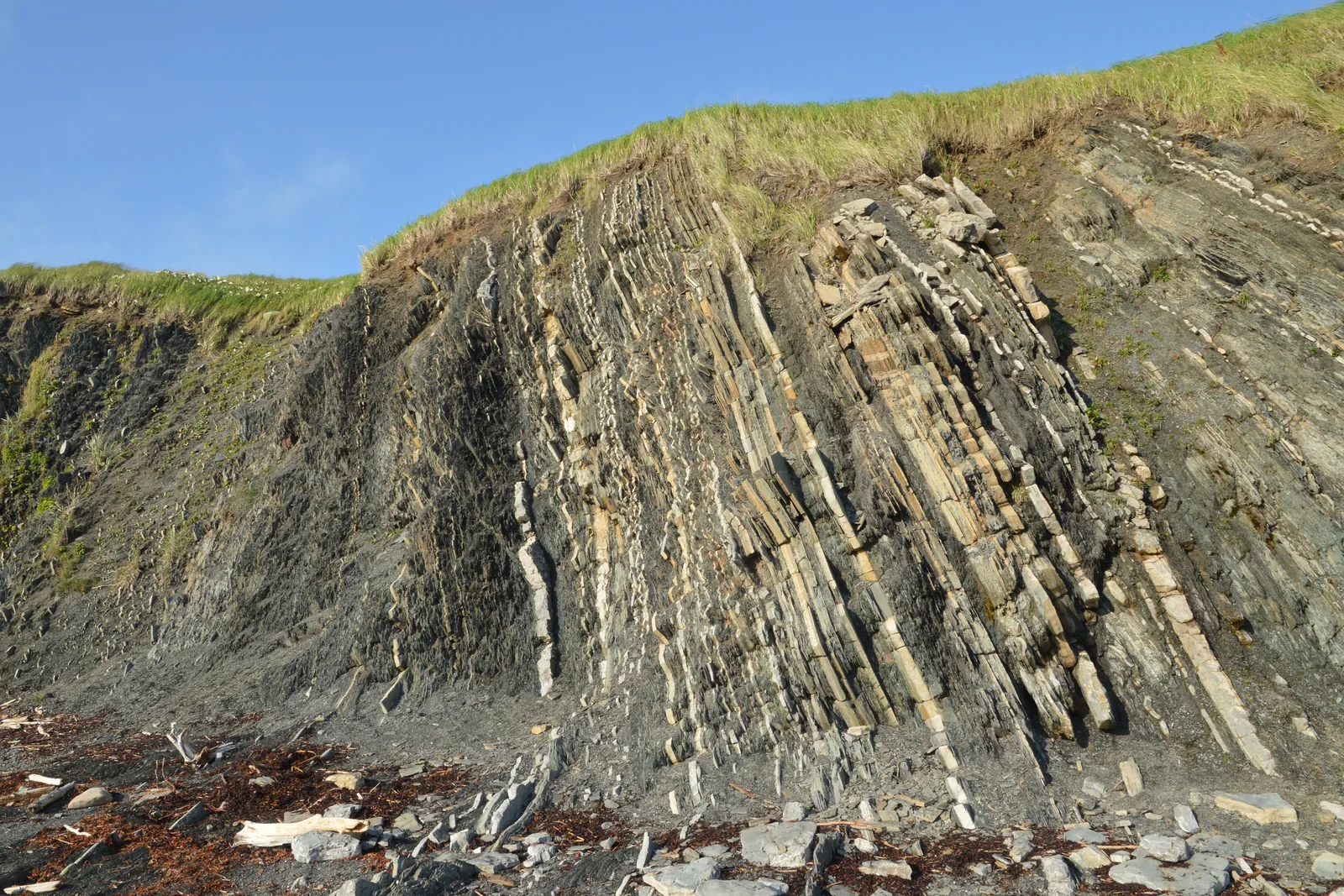 A rock face in Gros Morne National Park of almost vertical, thin grey and pale rock layers, with a grassy edge on top under a blue sky