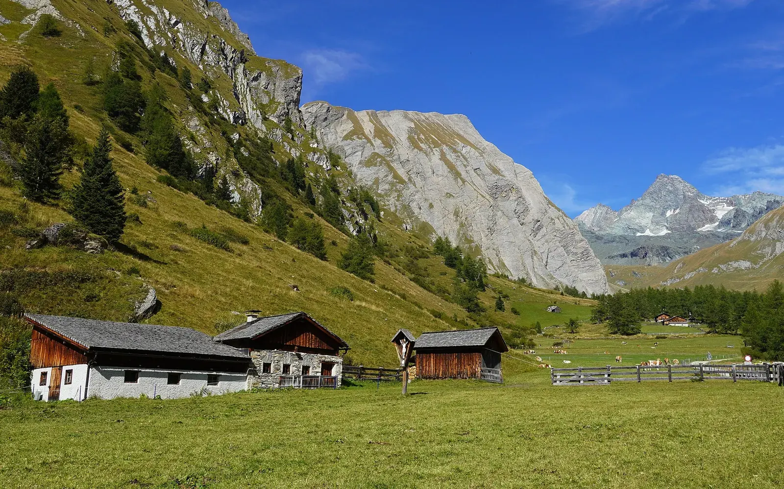 Alpine huts of wood and stone in Hohe Tauern National Park on a green valley meadow, steep limestone walls on the left, the Grossglockner with snowfields behind