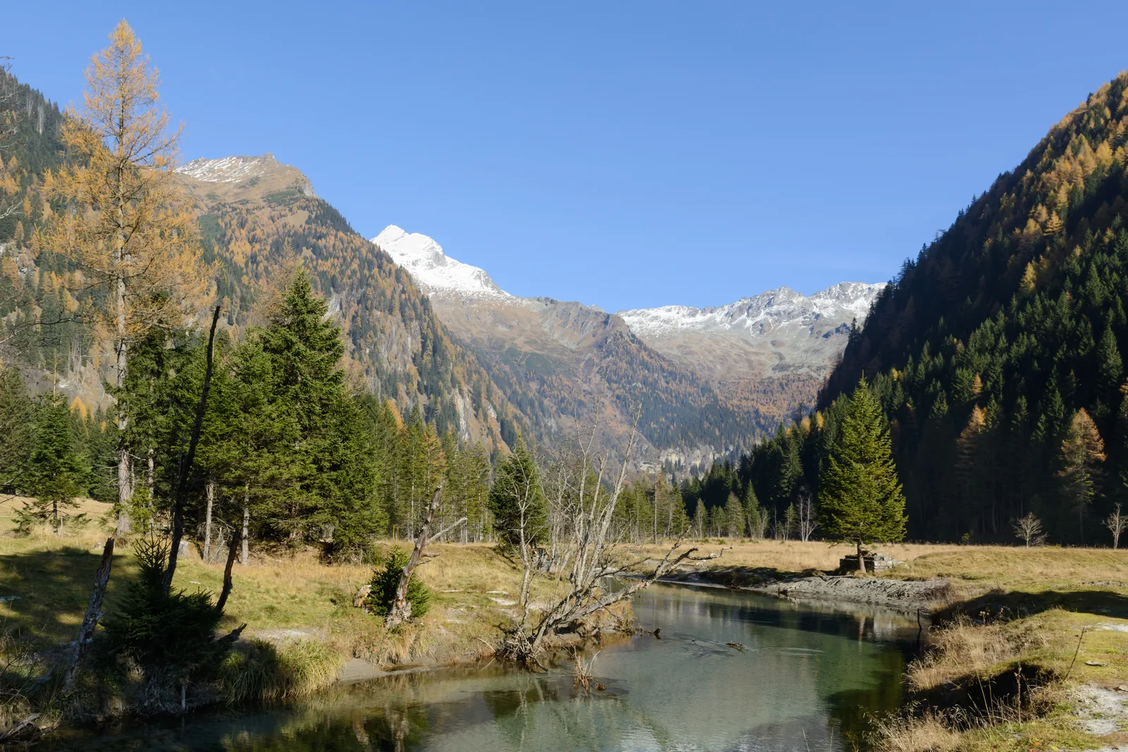 The Seebach Valley in Hohe Tauern National Park in autumn with larches, a stream and the snow-covered Ankogel