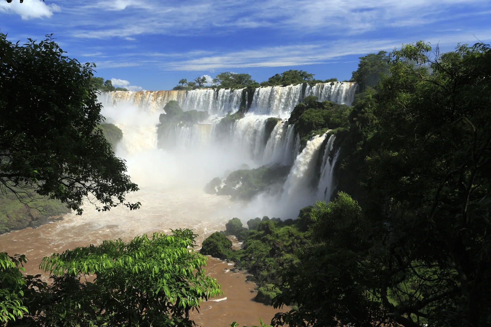 From the Lower Circuit in Iguazú National Park you look between trees at the white Adán y Eva and Bossetti falls, with brown water churning below