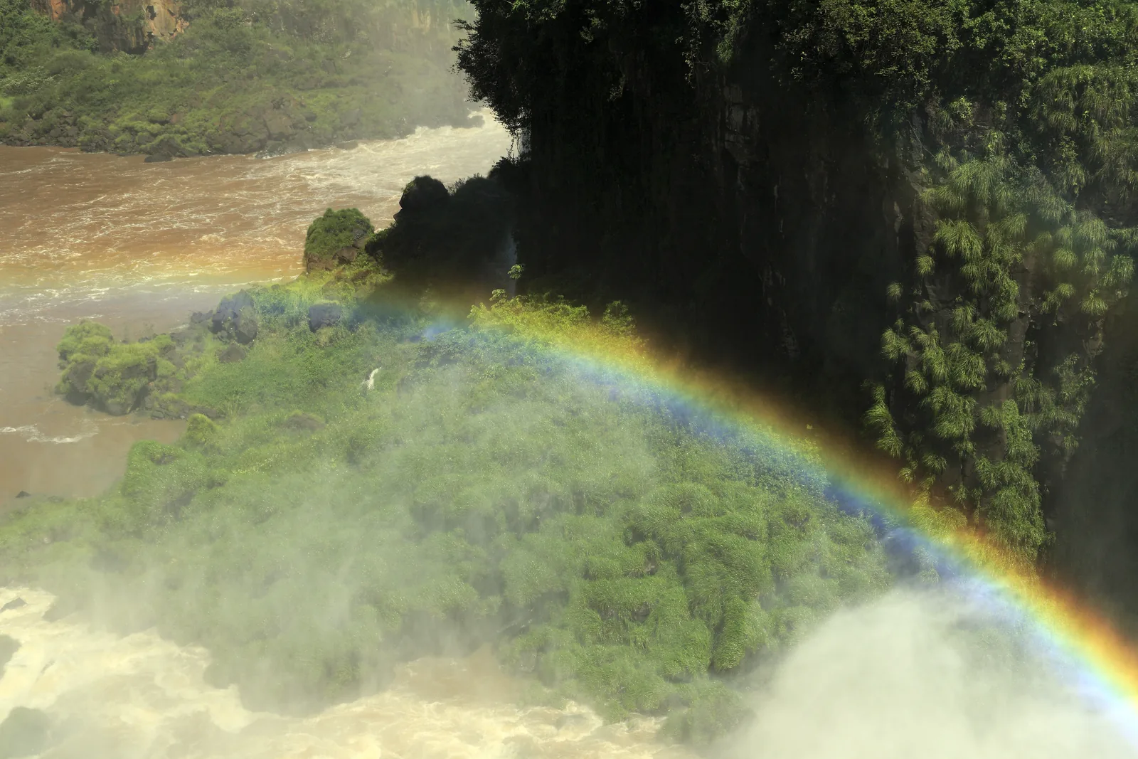 A strong rainbow stands in front of a forested rock face above the spray of Iguazu Falls