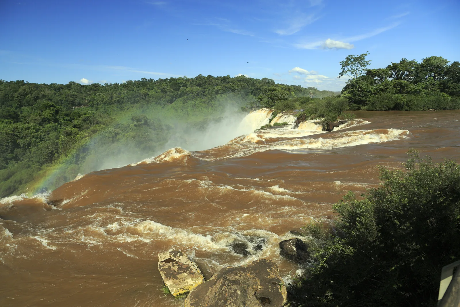 Brown floodwater of the Iguazú pours over a broad edge at Salto San Martín, with dense forest behind