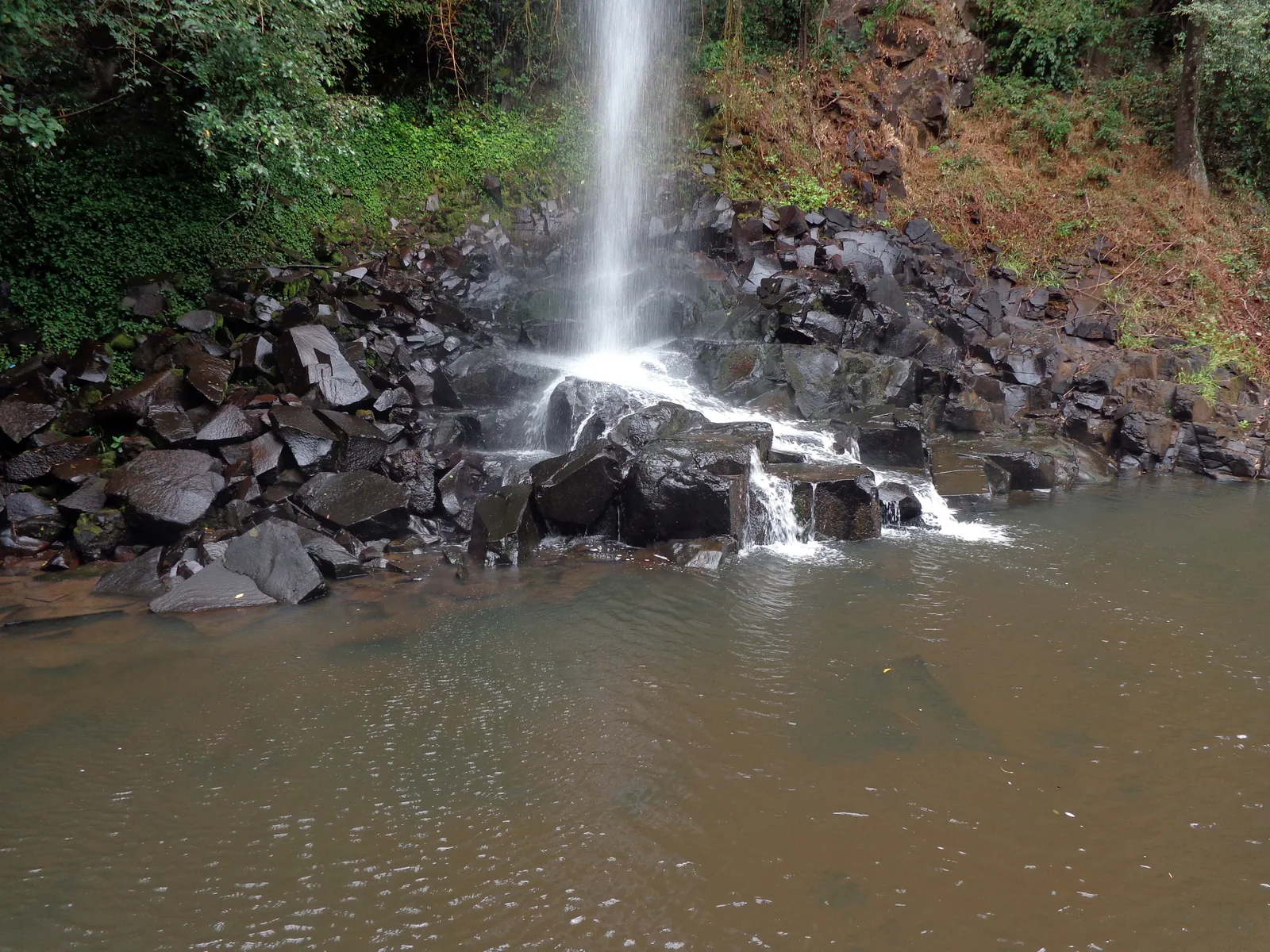 Salto Arrechea at the end of the Macuco Trail falls as a narrow stream over black basalt rocks into a brownish pool