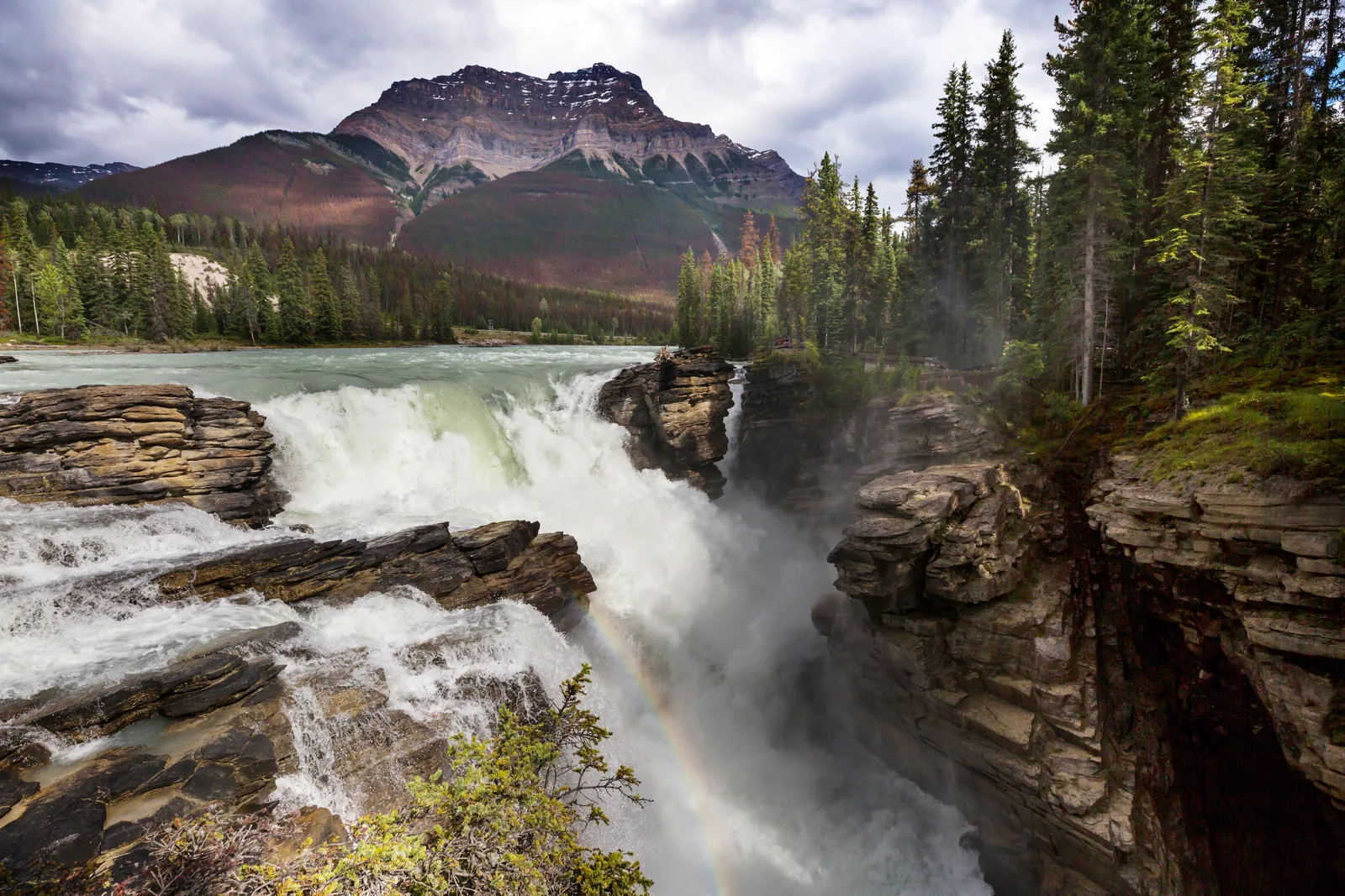The Athabasca River plunges in Jasper National Park over a wide rock step into a narrow gorge