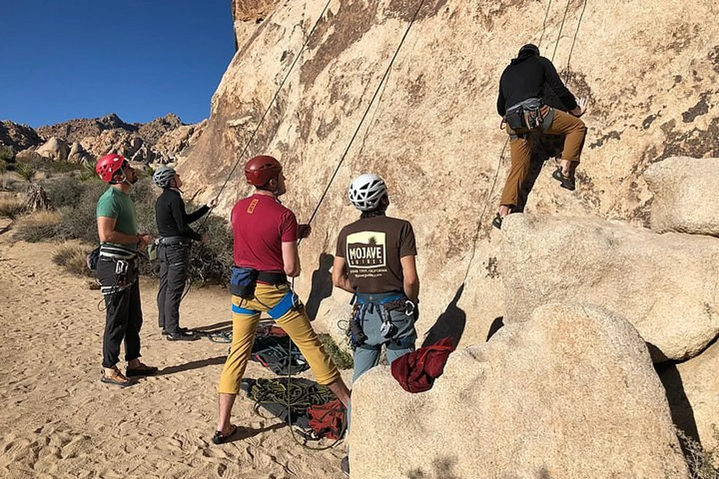 Offer photo: Beginner Group Rock Climbing in Joshua Tree National Park
