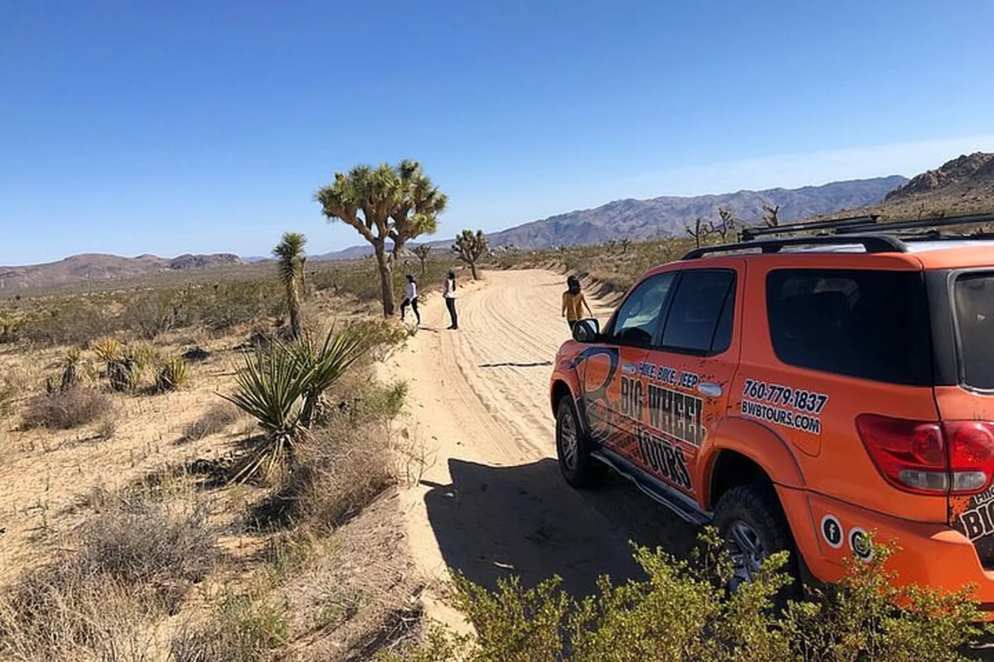 Offer photo: From Palm Desert: off-road tour on Geology Tour Road