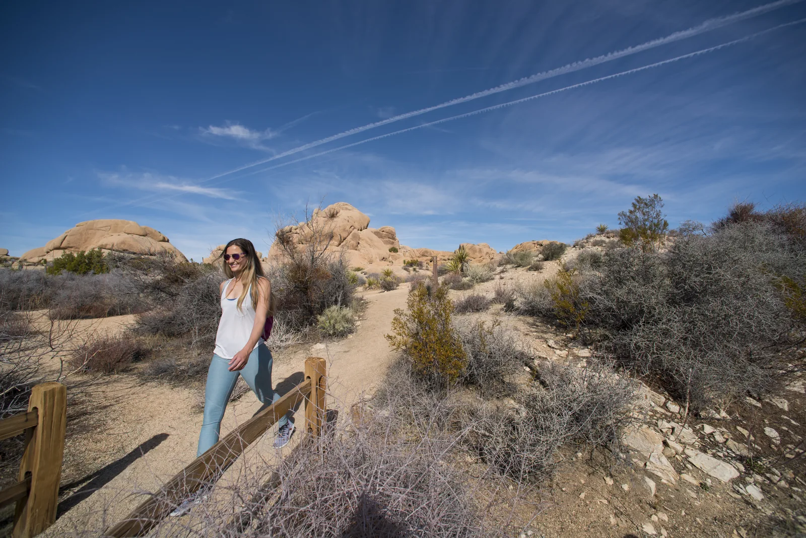 Sandy path of the Skull Rock Trail in Joshua Tree National Park between desert shrubs, rounded granite boulders behind