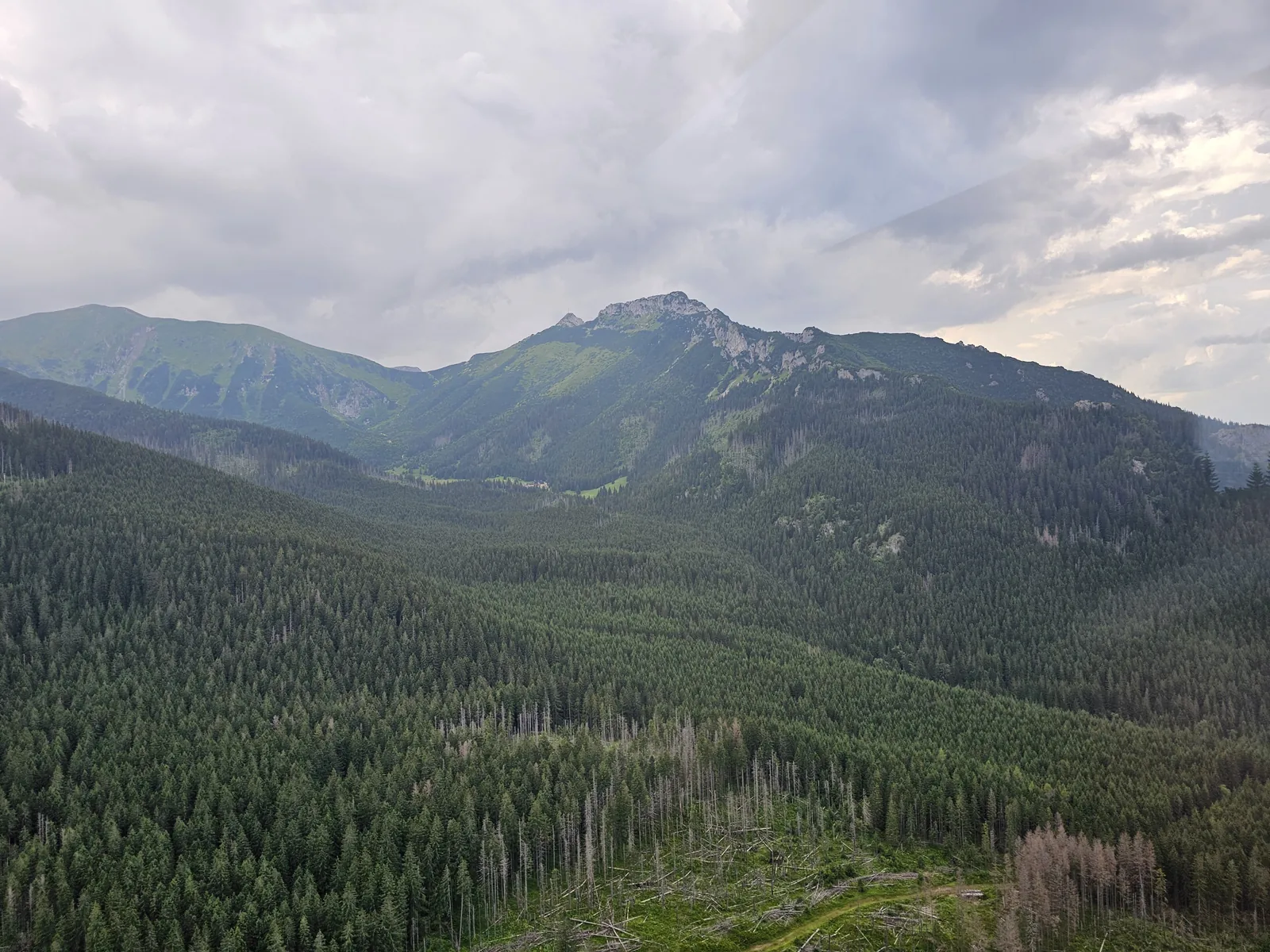 Wooded valleys at Kasprowy Wierch in July, green ridges under clouds behind
