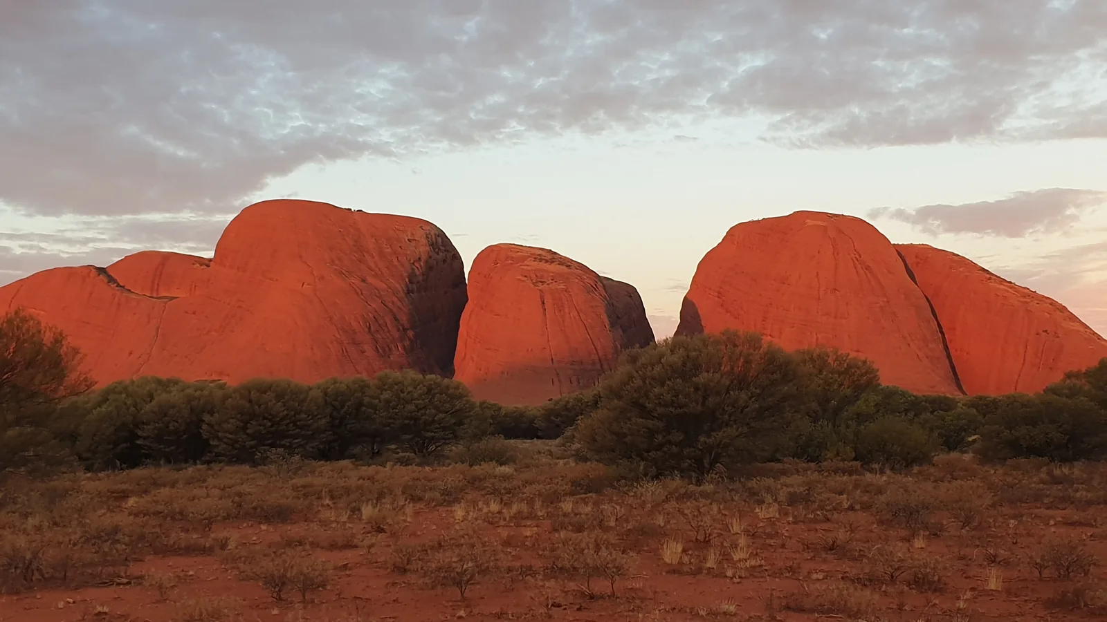 Four large domes of Kata Tjuṯa in Uluṟu-Kata Tjuṯa National Park glowing red at sunset under grey clouds, with bushland in front