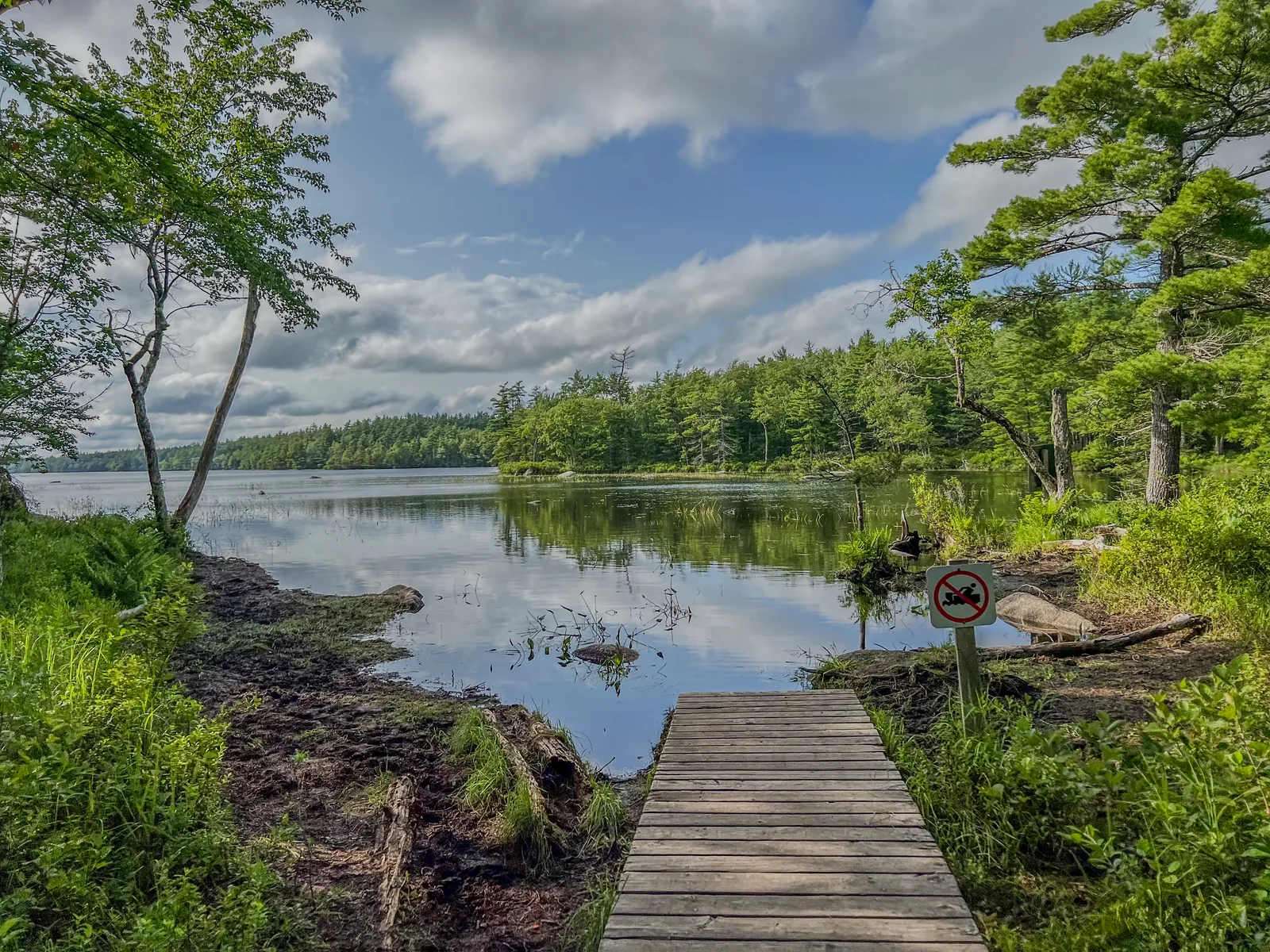 A wooden dock leads to the shore of a still forest lake in Kejimkujik National Park, conifer and broadleaf forest all around under a cloudy sky
