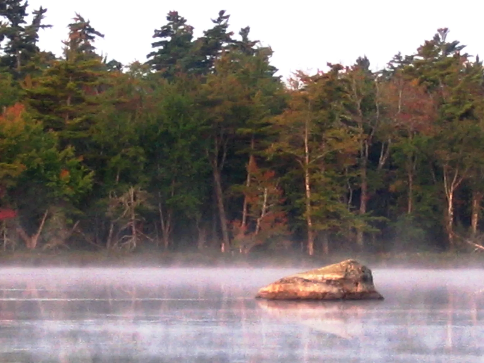 Morning mist over a still lake in Kejimkujik National Park, a pale boulder rising from the water, autumn forest behind