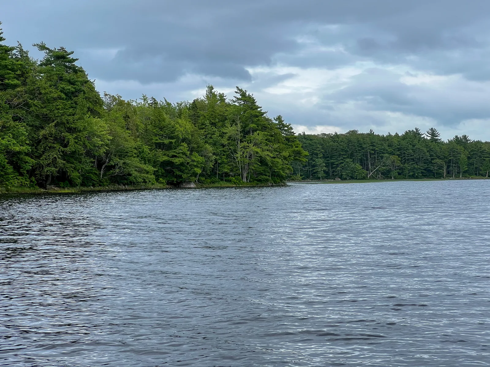 Dark, slightly rippled lake water in Kejimkujik National Park in front of a densely forested shore under a grey cloudy sky