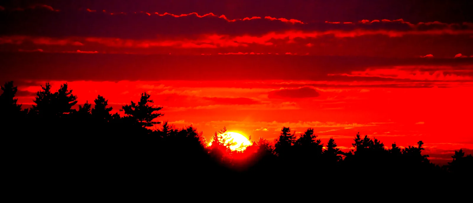 Deep red glowing evening sky in Kejimkujik National Park above a black silhouette of trees, the sun just above the horizon