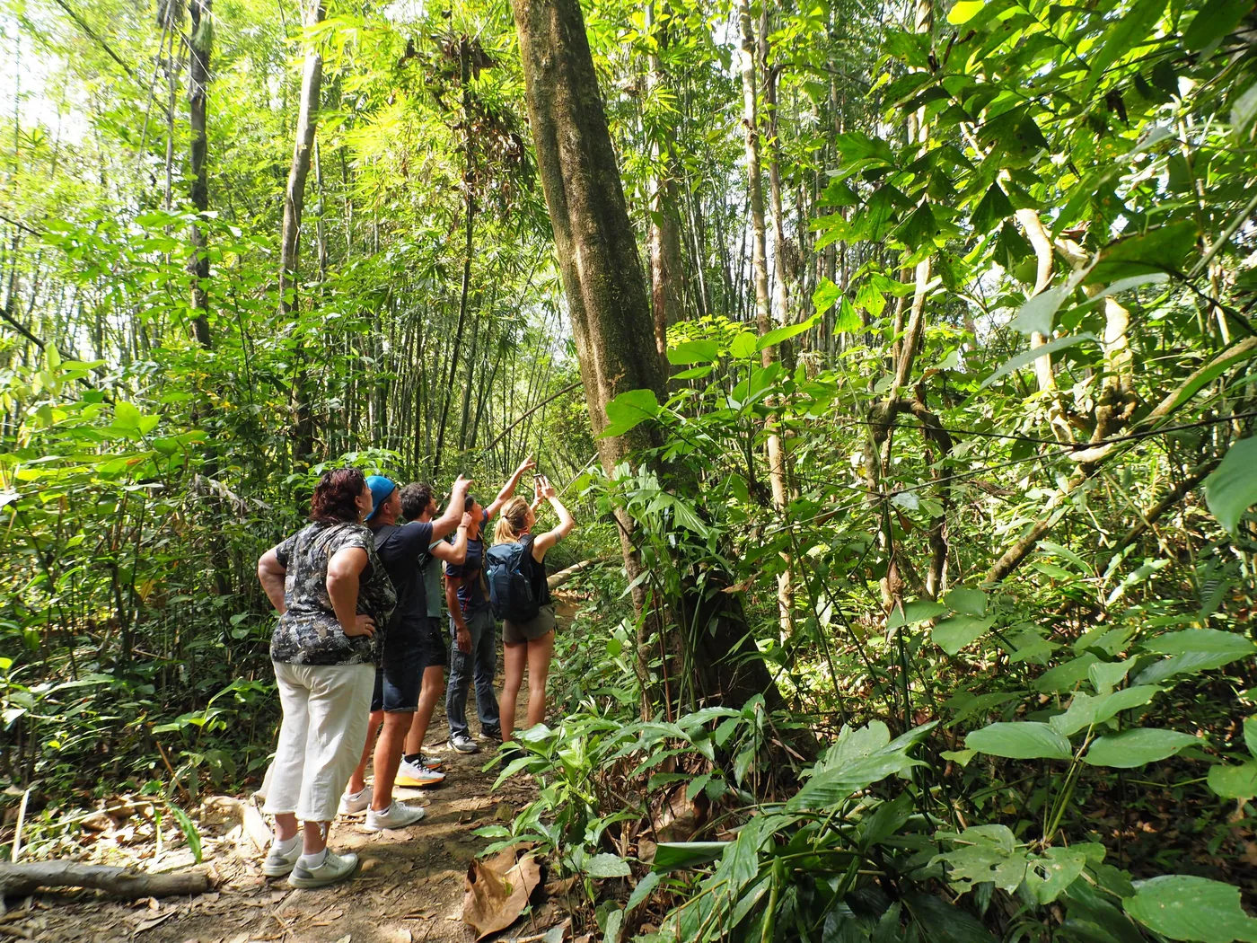 Offer photo: From Khao Lak: half-day rainforest hike from the Khao Sok headquarters
