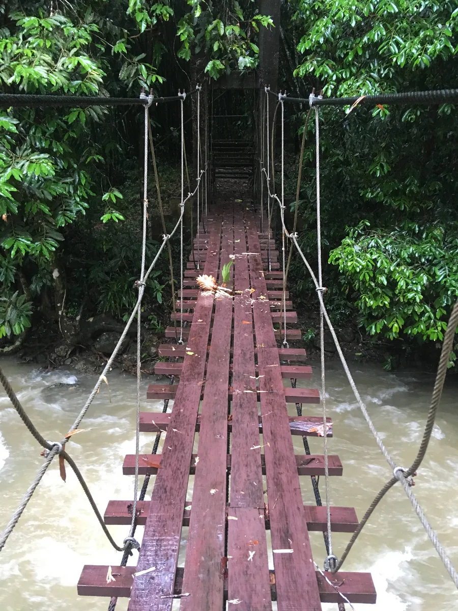 A narrow suspension bridge of wooden planks and wire ropes crosses a brown, fast-flowing river in dense greenery in Khao Sok National Park