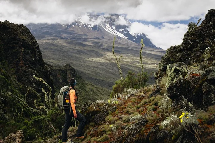 Offer photo: Kilimanjaro via the Marangu route with nights in huts