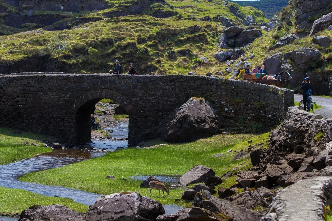 Offer photo: Gap of Dunloe & Lakes of Killarney boat tour